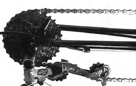 mtb chain sizing