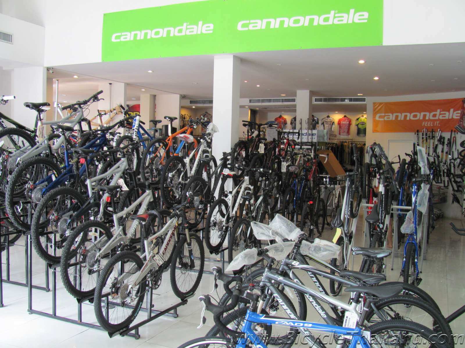 cannondale bike dealers