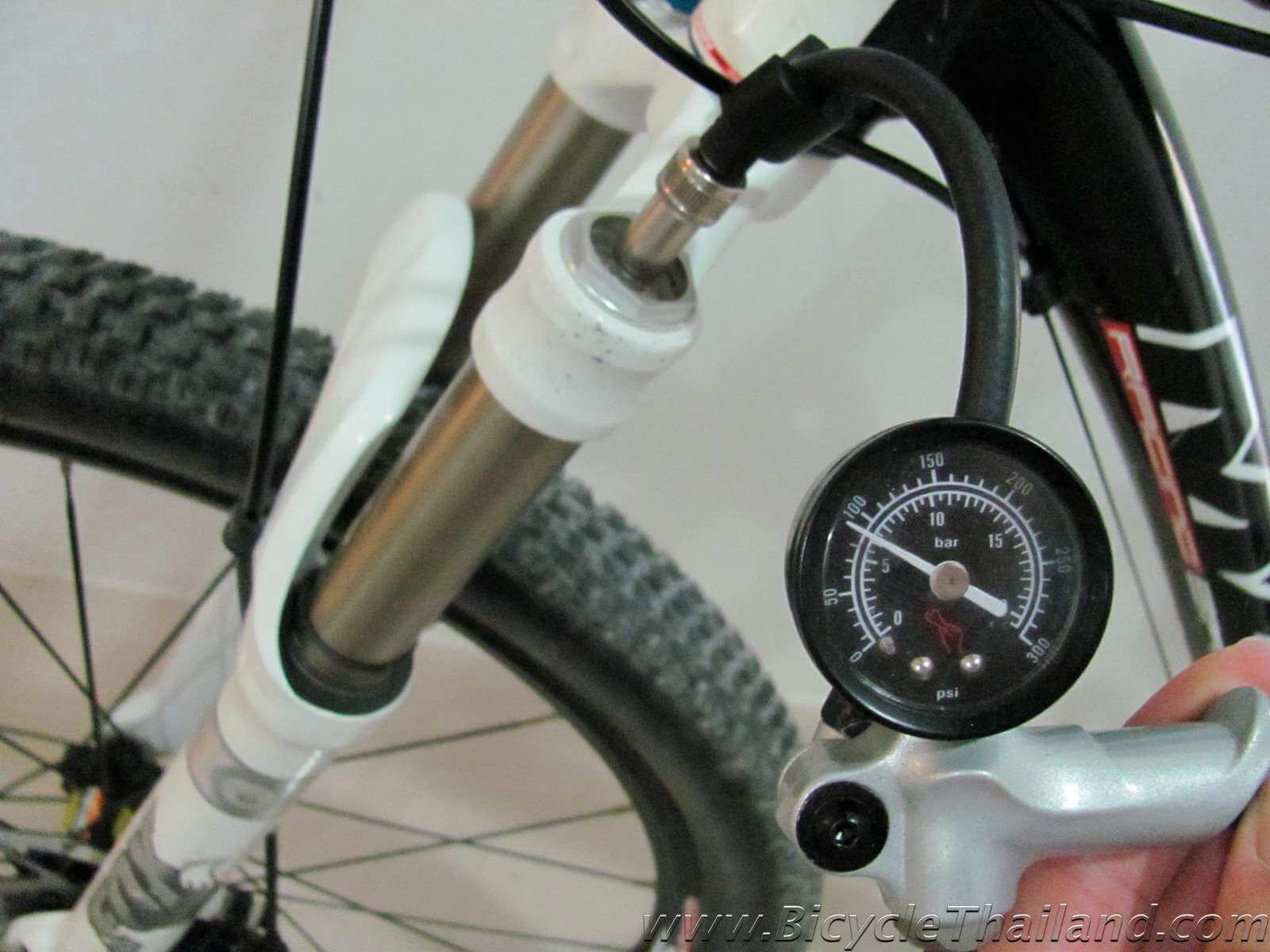 mountain bike front forks maintenance